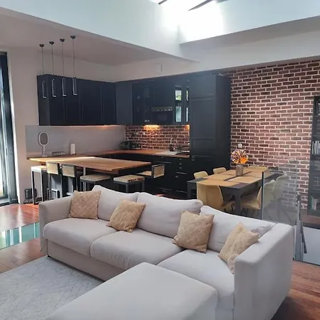 Loft Centre Face Au Parc Des Buttes Chaumont Apartment *